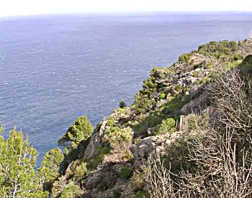    und zerkl&uuml;ftet     ....   