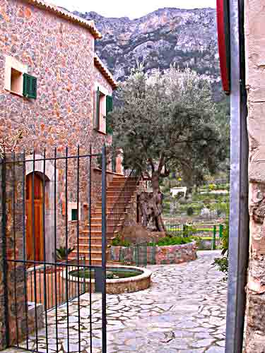    am Dorfrand von &acute;S&oacute;ller'  .... 