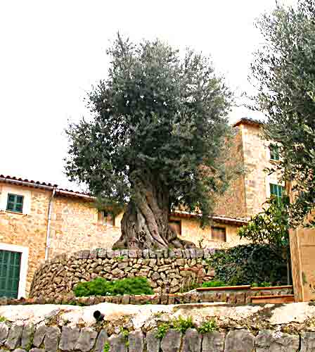    w&uuml;rdevoll 'ausgestellt'  .... 