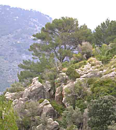    zerkl&uuml;ftet und wasserduchl&auml;ssig   .... 