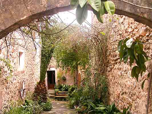       in den Hinterhof         ....   