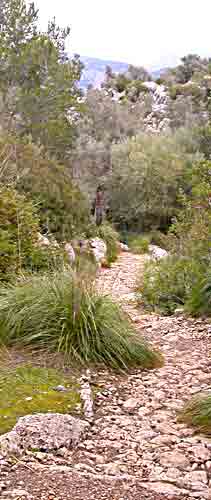    &uuml;ber Stock & Stein   ....   