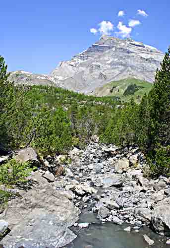      Ger&ouml;ll vom Tiifelsb&auml;rg   ....  