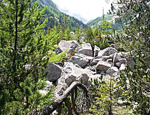      Querriegel vom Bergsturz   ...  